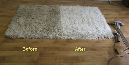 Area Rug Cleaning Jacksonville - Green Dry Carpet Cleaning